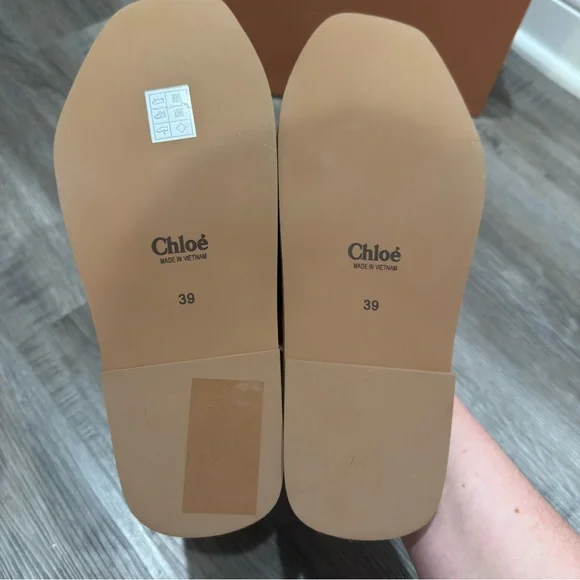 Chloe Woody Logo Sandal Slides in Light Rosewood - Picture 12 of 16